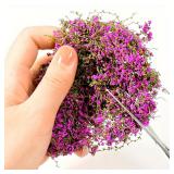 Mini Vine and Flower Model Set -3 Grams/0.105...