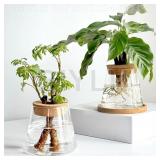 2/1 Pcs Hydroponic Plants Glass Flower Pots...