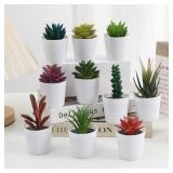 Artificial Succulent Bonsai Plants Simulation...
