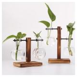 Hydroponic Plant Terrarium Vasevase Decoration...