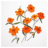 12PCS Set 5-8cm Size Orange Zinnia Dried...