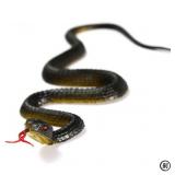 45cm Fake Realistic Rubber Toy Snake Simulation...