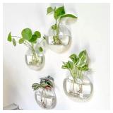 4pcs Wall Hanging Glass Terrarium -...