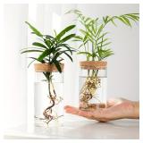 1pc, Hydroponics Plants Desktop Glass Planter...