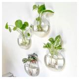 2 Pcs Wall Hanging Glass Terrarium -...