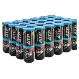 $100 DUNLOP ATP Championship XD High Altidude Tenn