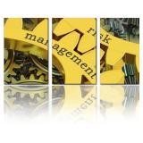 $30 Wall Art Risk Management on the gearwheels Pos