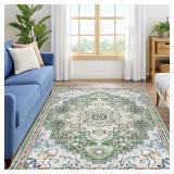 $60 Smiry 5x7 Area Rugs for Living Room, Boho Chic