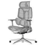 $500 Hbada E3 Air Ergonomic Office Chair, Big and