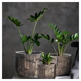 $161 Yundu Concrete Planter Set of 3, 14.5 & 12.6