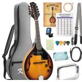 $130 Mandolin Instrument A Style, Electric Acousti