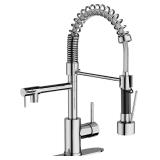 $66 Dual Spout Kitchen Faucet with Pull Down Spray