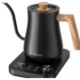 $60 Gooseneck Electric Kettle, Electric tea Kettle