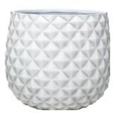 $36 Ames True Temper 12' White Cream Pineapple Pla
