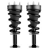 $228 Pair Front Shock Strut Assembly with MRC for