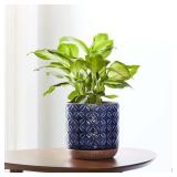 $15 Southern Patio 5.9' Blue Griffy Planter