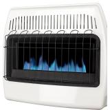 $201 30,000 BTU Vent Free Liquid Propane Blue Flam