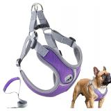 Dog Harness with Leash Set, Adjustable Step in...