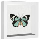 Califortree 5x5 Small Shadow Box Picture Frame...