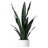 $54 Beebel Artificial Snake Plant 22 Inch Fake...