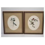 2 Framed Bird Prints