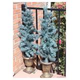 Pair of Lighted Topiary