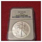 2009 Early Releases MS69 American Silver Eagle