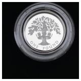 1987 One Pound Sterling Proof Coin Royal Mint