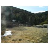 Nevada Real Property-20 Acre Lot-Osceola Gold Mine