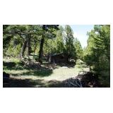 Montana Real Property -20 Acres, Helena Gold Mine