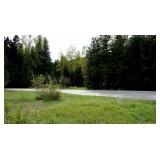 Idaho Real Property -20 Acres -Kellogg Gold/Silver