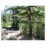 Utah Real Property -20 Acre Lot-Gold Mountain Mine