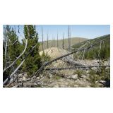 Montana Real Property - 40 Acres-Vosburg Gold Mine