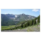 Idaho Real Property-20 Ac. Lot-Mackay Area Mine