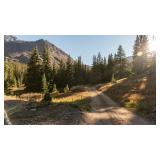 Colorado Real Property -20 Acres- Mt Champion Gold