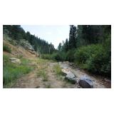 40 Acre Lot-Clear Creek, Co. International Gold