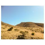 20 Acres- Hidalgo Co. New Mexico - Oro Grande Prop