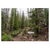 40 Acres - Jackson Co. CO - Kings Canyon Property
