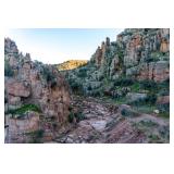 40 Acre Lot -Gila Co. Arizona -BlueBird Property