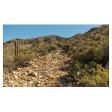 20 Acre Lot-Maricopa Co, AZ-Crown Prince Gold Mine