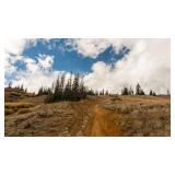 20 Acre Lot - Hinsdale Co, CO.- St Jacob Gold Prop