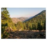 60 Acres -Okanogan Co. Washington- Nevada Property