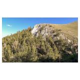 20 Acres-Nevada Real Property-Gold Crown Gold Mine