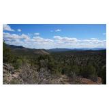 Nevada Real Property - 20 Acres - North Pioche