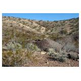 Arizona Real Property-20 Acres-Chloride Gold Mine