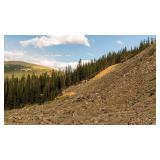 Colorado Real Property - 40 Acres - Breckenridge