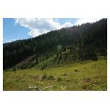 Idaho Real Property -60 Acres -Sun Valley-Ketchum