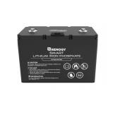 Renogy 12V 100Ah Lithium Iron Phosphate Batteries