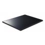 Frontier 130W Thin-Film Solar Panels