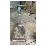 Platform scale